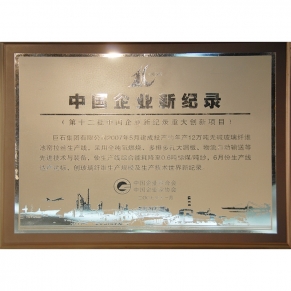 中國企業(yè)新紀錄第十二批重大創(chuàng)新項目